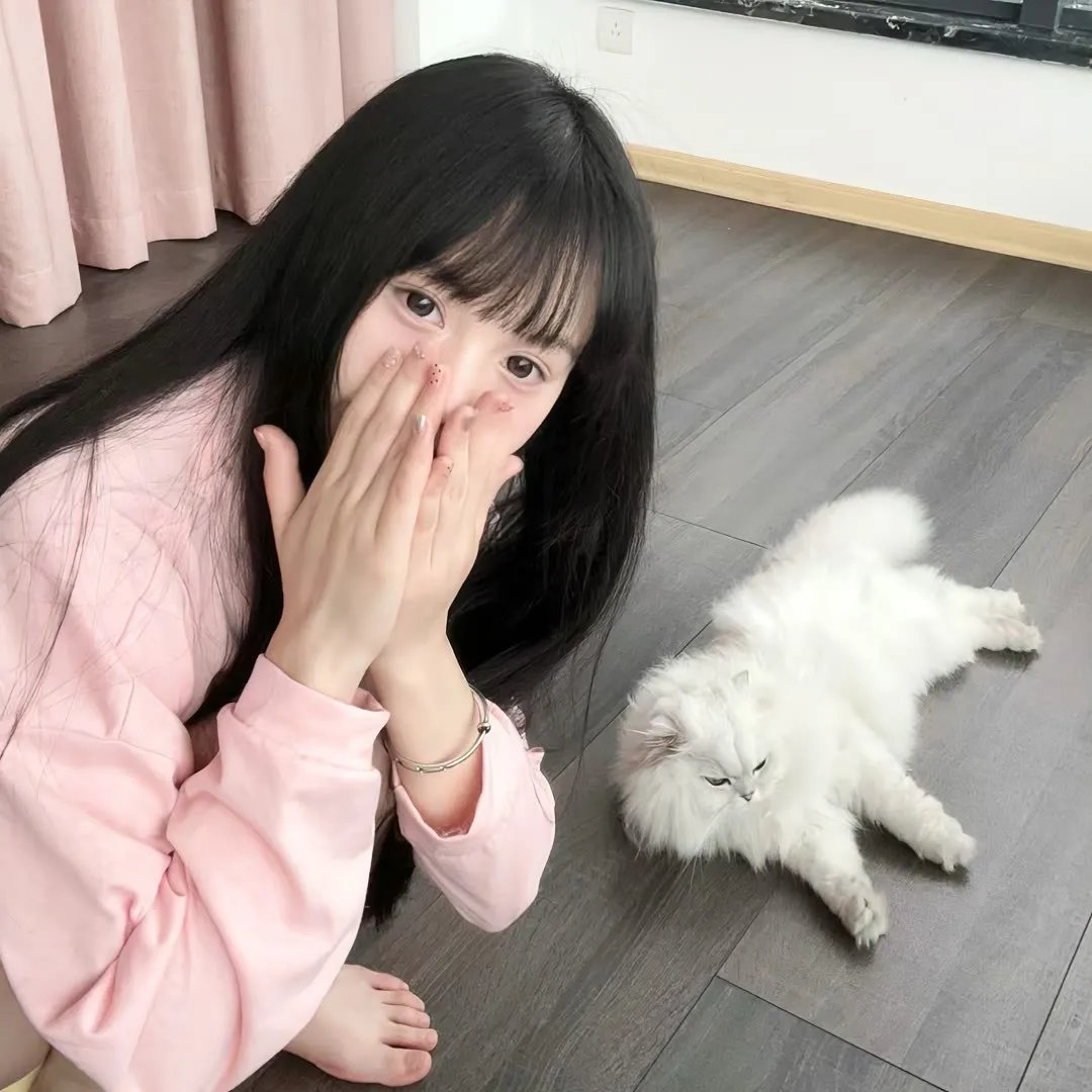 翡翠窝大阴谋