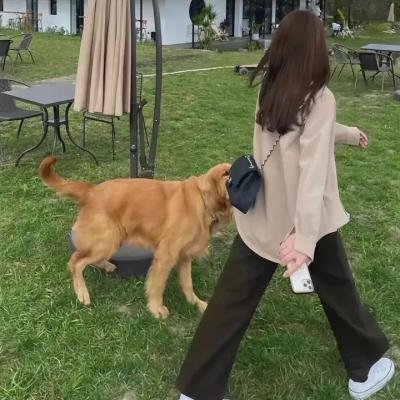 怪物家庭